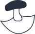 Program Icon